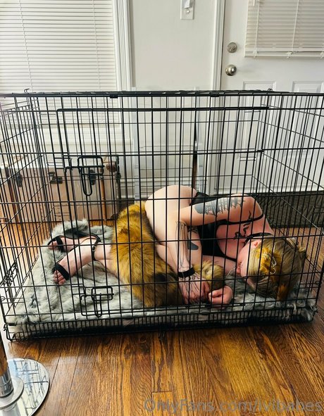 ivibabes onlyfans star