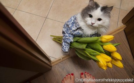 freekatycupcake onlyfans sexy