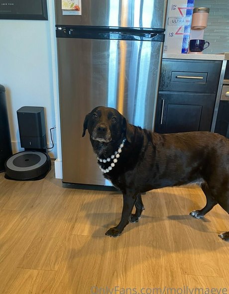 mollymaeve onlyfans ass