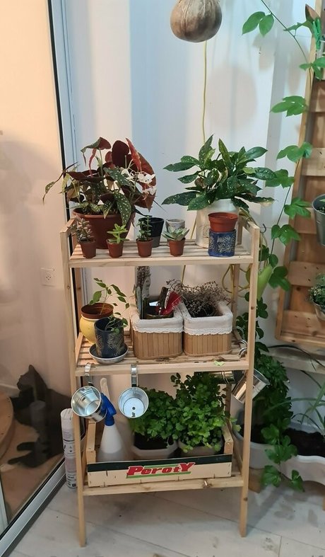 Ahegaoself onlyfans tits