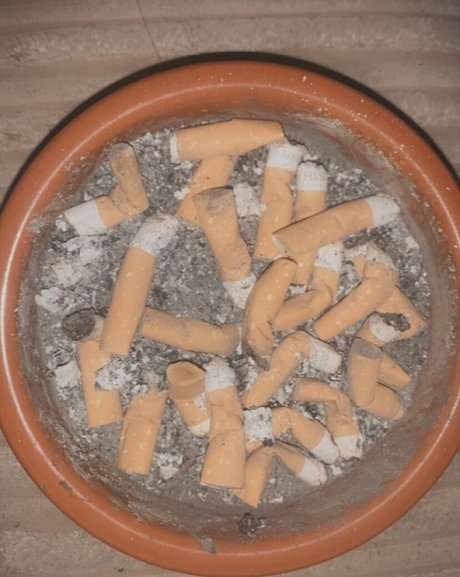 scarletjames301 nude onlyfans leak