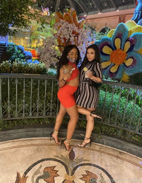 torothadon sexy onlyfans