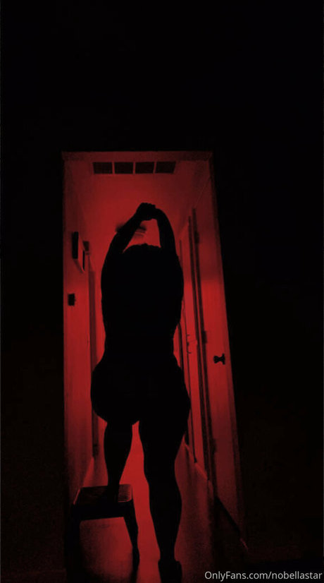 nobellastar onlyfans photo
