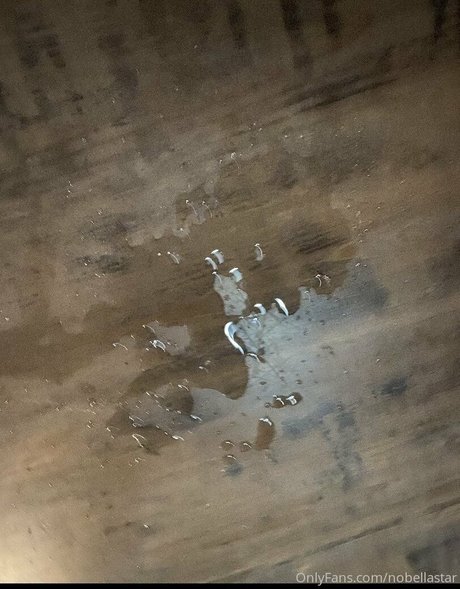 nobellastar onlyfans picture