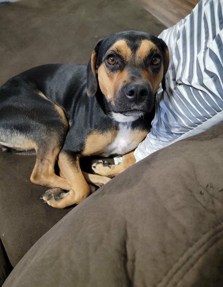 kodi salem onlyfans nude leak