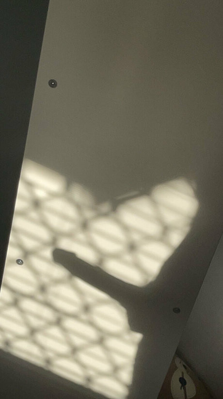 chriscahill nude only fans leaks