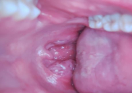 dana the lady vore onlyfans free content