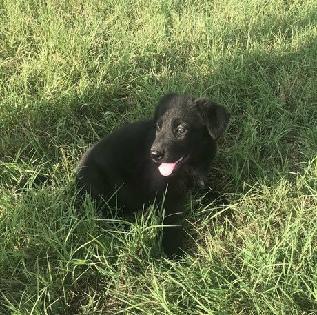 Villainous Coochie only fans nudes