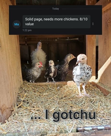 GoddessZoey leaked naked onlyfans