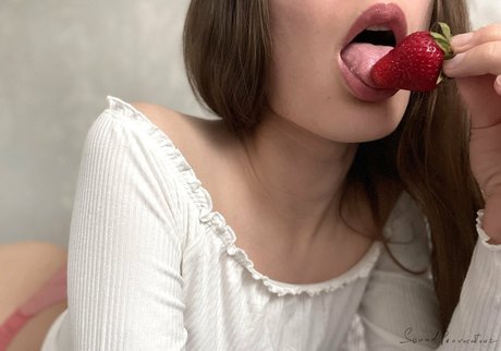 soundprovocateur Profile pic