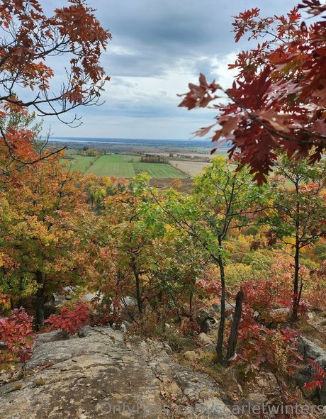 scarletwinters onlyfans leak xxx