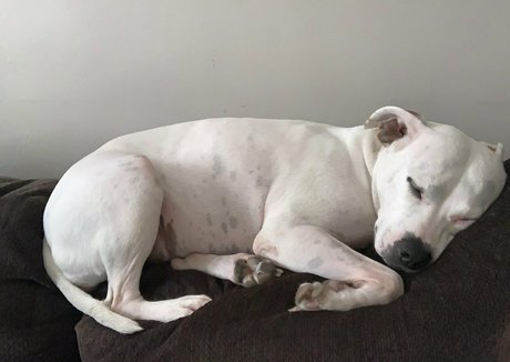 queenbracee leaked onlyfans