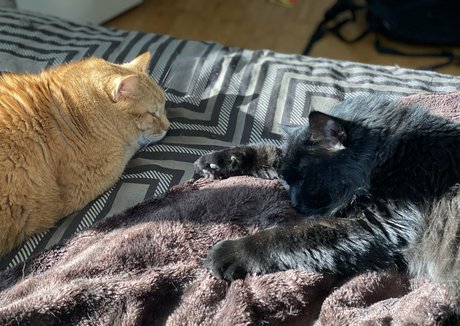 somelittlecrumbs onlyfans porn leak