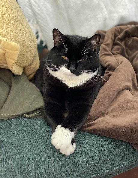 somelittlecrumbs onlyfans xxx