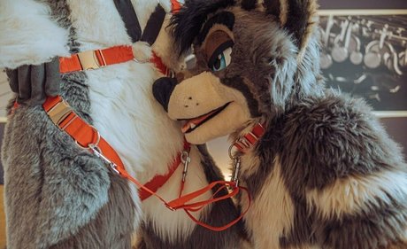 after neigh onlyfans leaks