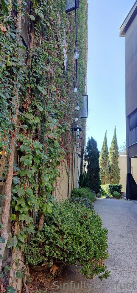 sinfullypurrfuct nudes only fans