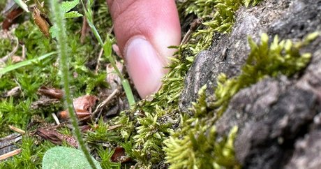 solecirilla onlyfans images