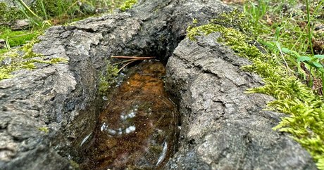 solecirilla onlyfans leakes