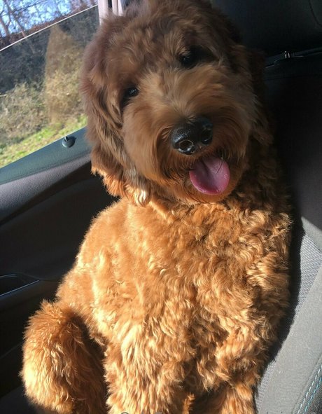 goodgirl 21 only fans leak