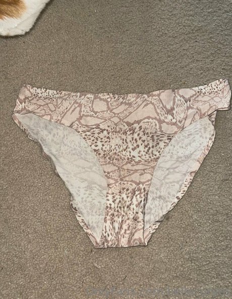 bellecurves onlyfans leaked photos