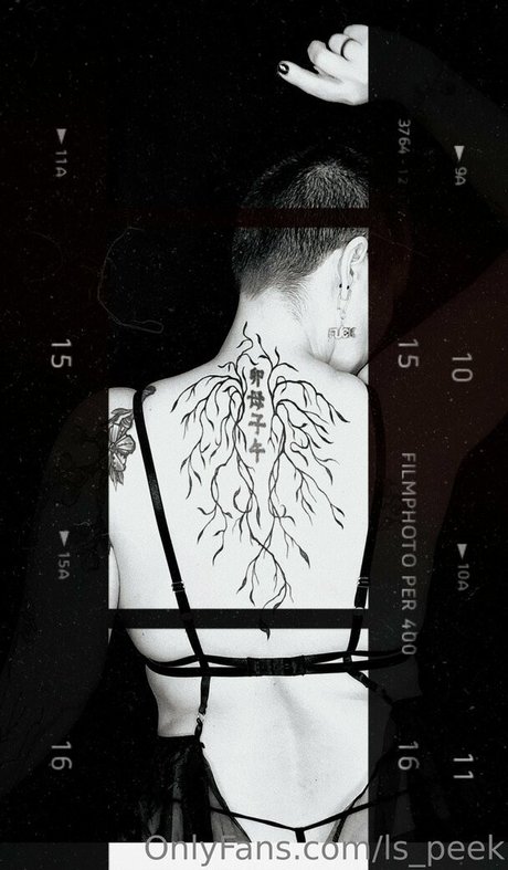 ls peek new onlyfans