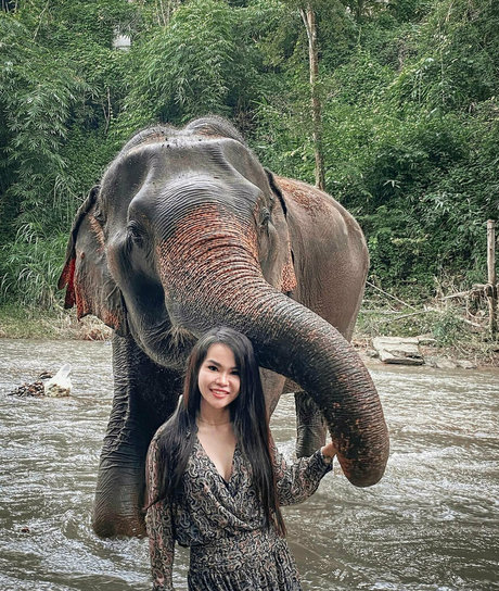 pingthai onlyfans leaks.