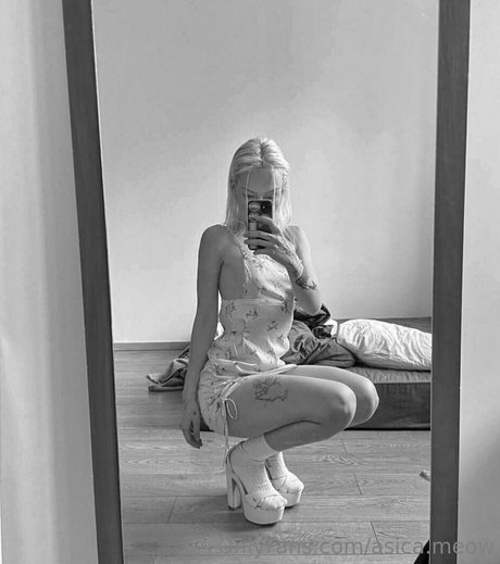 asica meow Profile pic