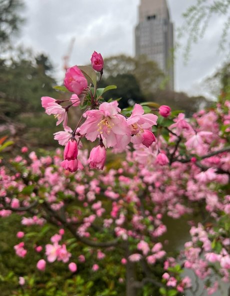 yosadthiccgirl porn onlyfans