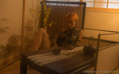 bigcatmia only fans leaked