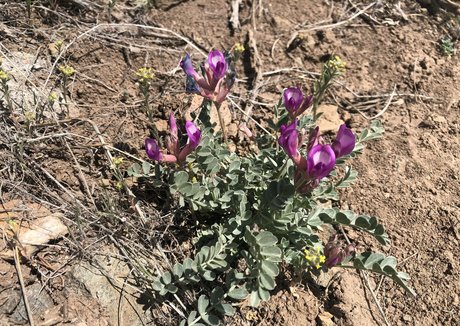 naomiwildman3 onlyfans nudes porn