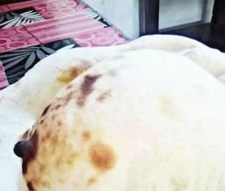 elitebbwplus nude onlyfans leak