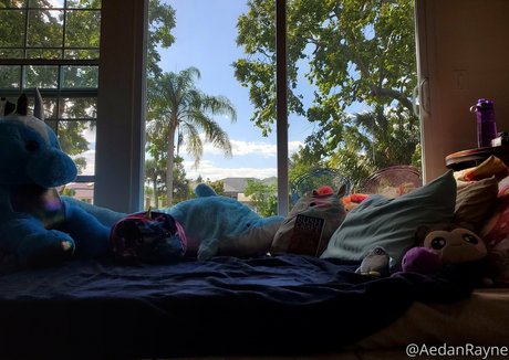 aedanraynevip onlyfans porn free