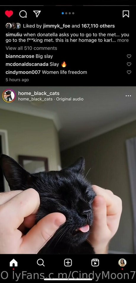 cindymoon7 leaked onlyfans sex tape