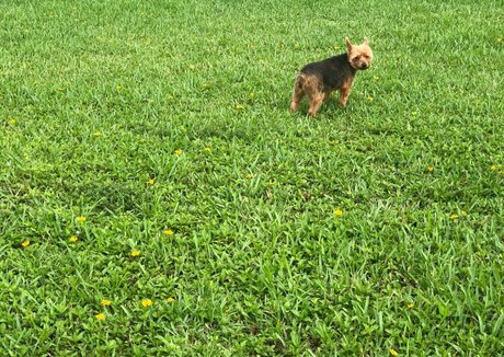 cindymoon7 leaked onlyfans nudes