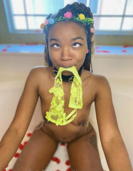 thenovapandafree onlyfans leak