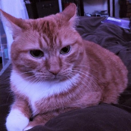 babybooh420 Profile pic