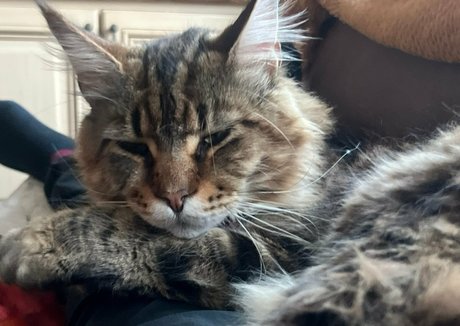 criscyborg onlyfans xxx