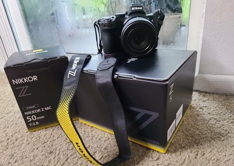 emeraldrose Profile pic