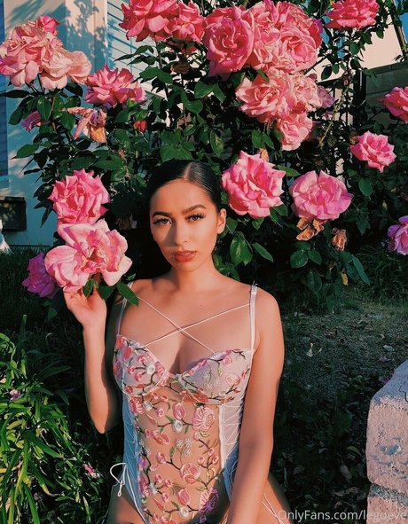 evalego2 leaks only fans