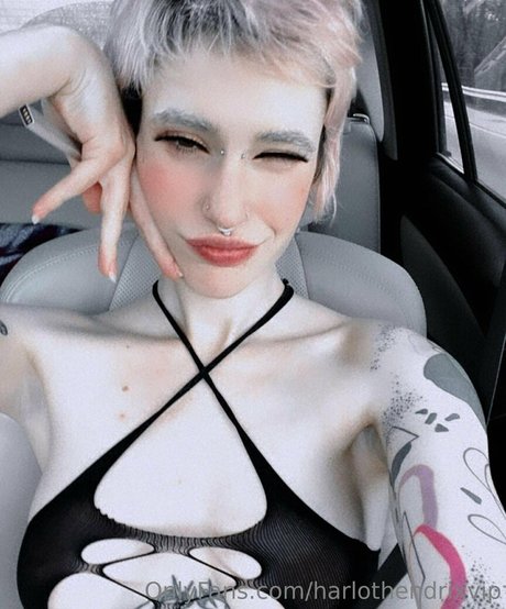 harlothendrixvip onlyfans archive