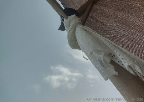 sakura odiosa onlyfans exposed