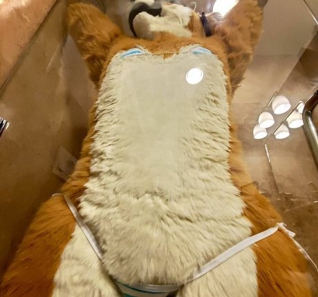 Murrsuit onlyfans images