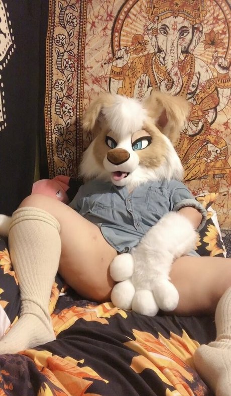 Murrsuit onlyfans for free