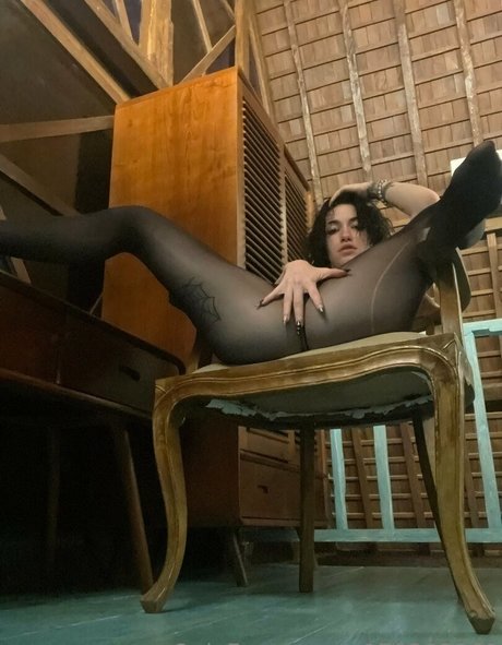 domtrickzz Profile pic