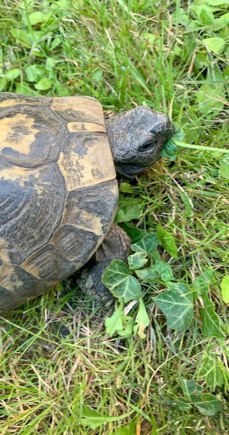 kawaii love feet onlyfans