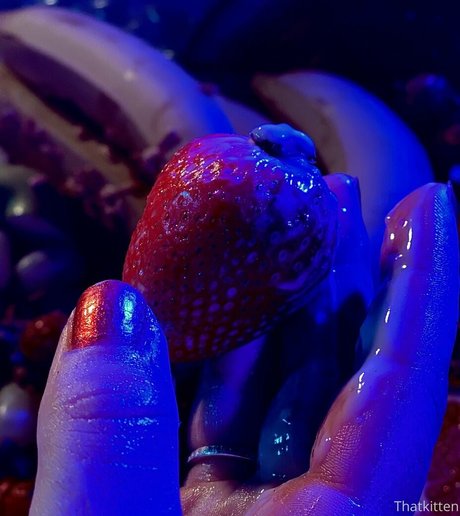 thatkitten2 Profile pic