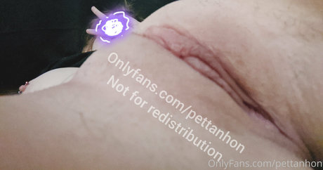 pettanhon onlyfans picture