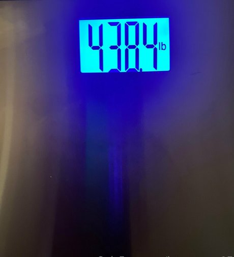 honeycow 17 onlyfans leaks naked