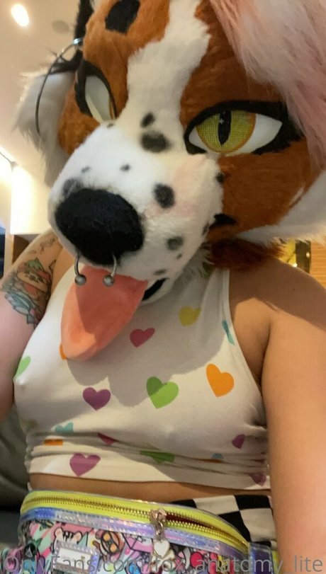 fox anatomy lite leaked onlyfans naked