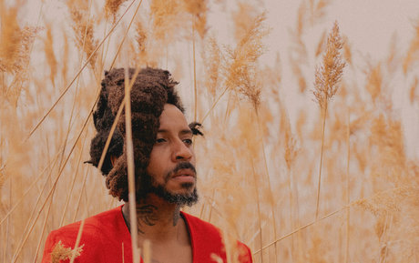 stephenvoyce xxx only fans